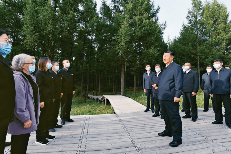 365钱包