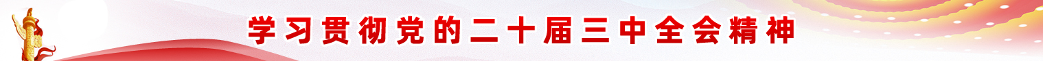 365钱包